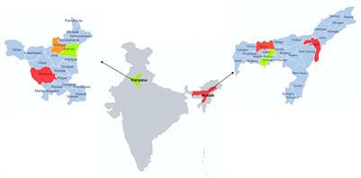 Antibiotic use, knowledge, and practices of milk vendors in India's informal dairy value chain